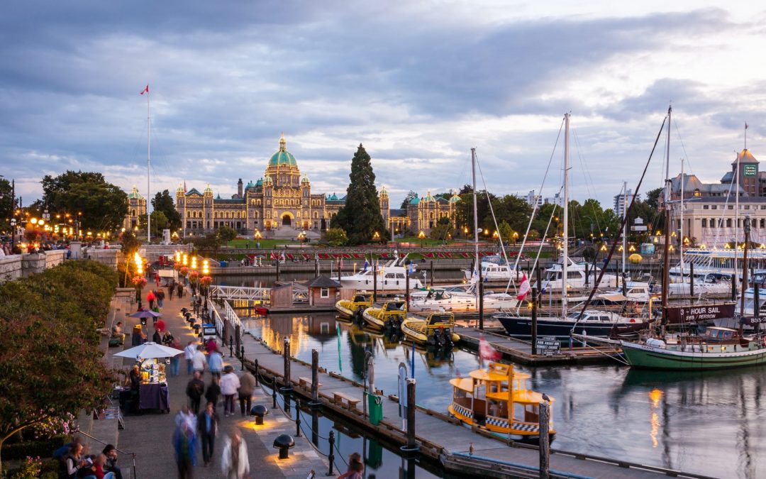 Magic Mushrooms in Victoria