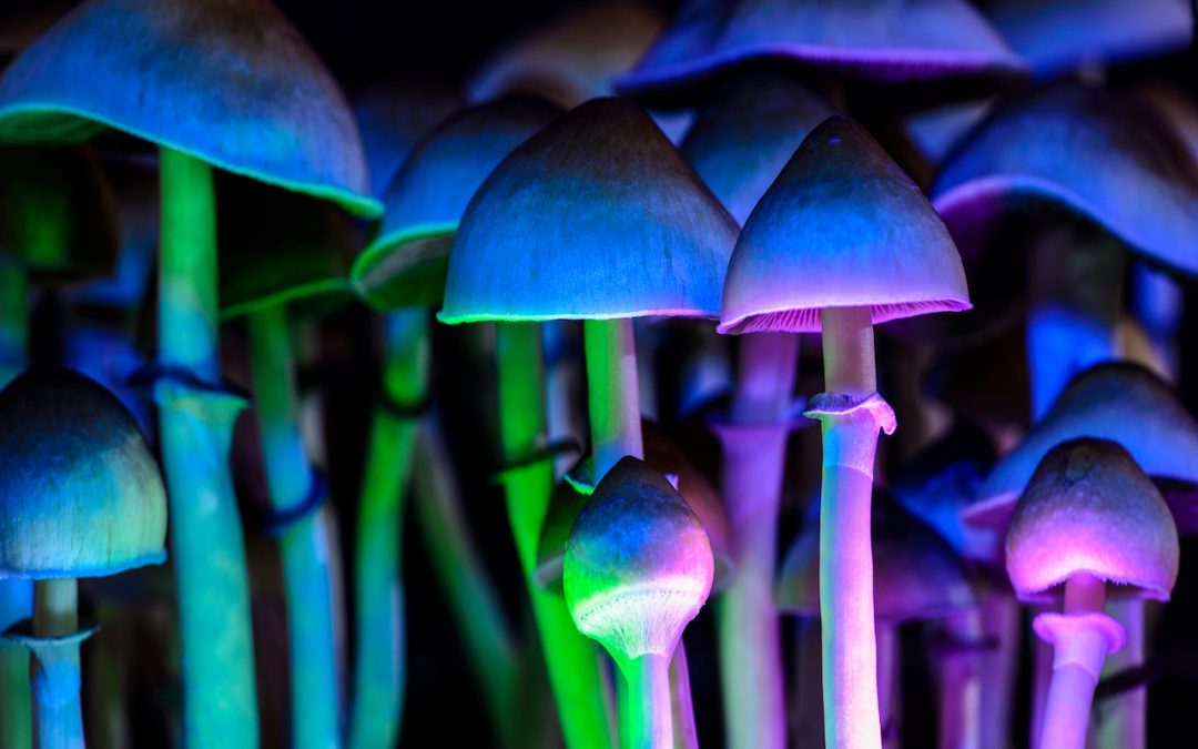 top shrooms victoria BC