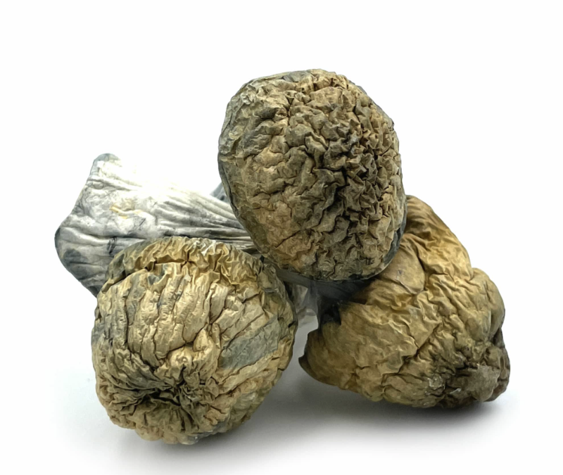 shrooms victoria magic mushrooms