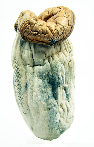 best shrooms victoria