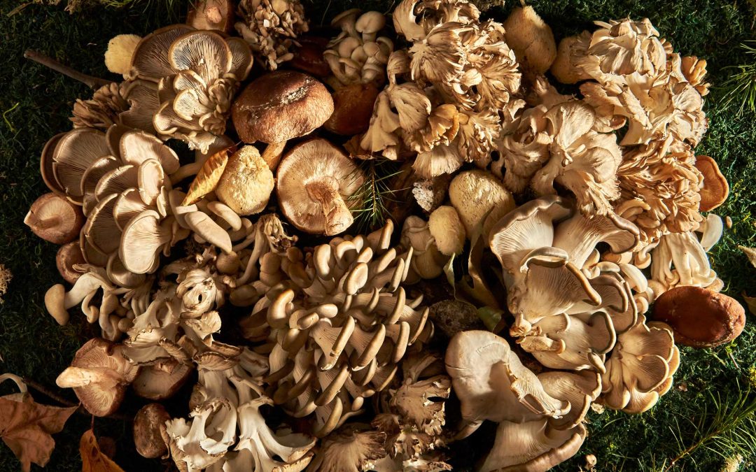 mushrooms victoria delivery