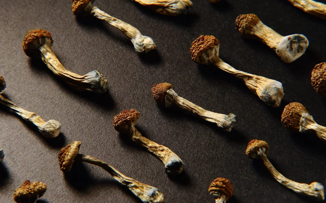 where to buy shrooms victoria