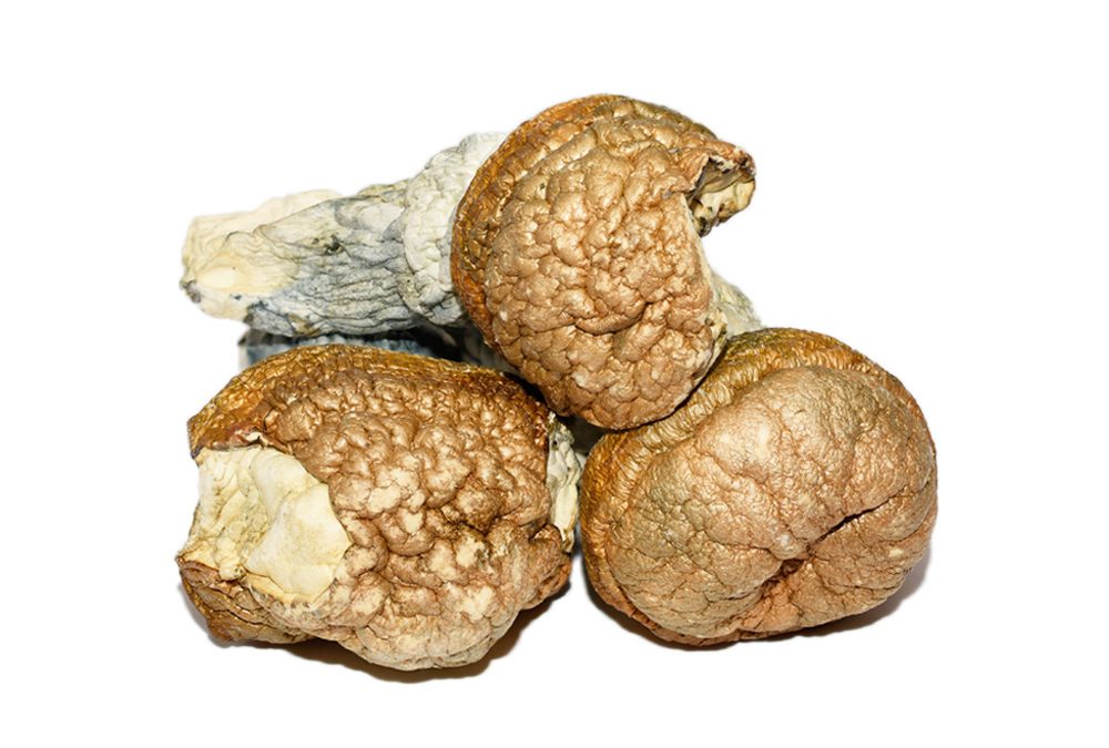 shrooms delivery in victoria BC