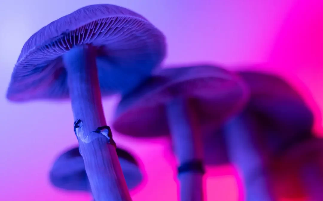 find shrooms victoria bc