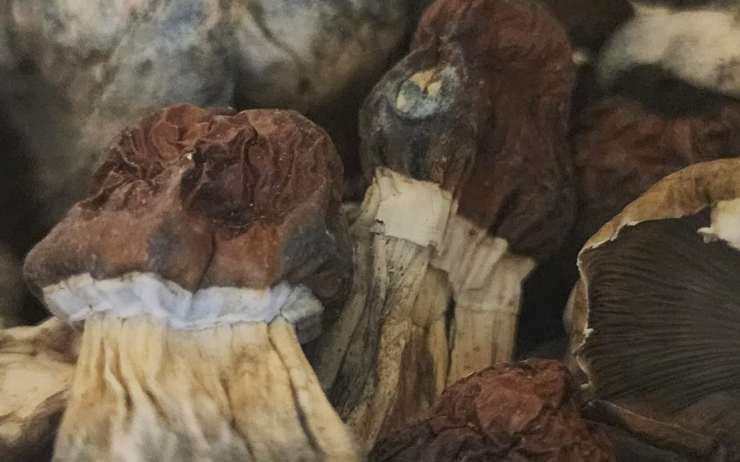 buying shrooms victoria bc?